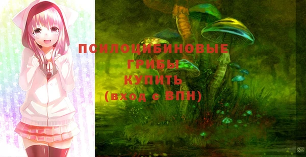 дживик Семикаракорск