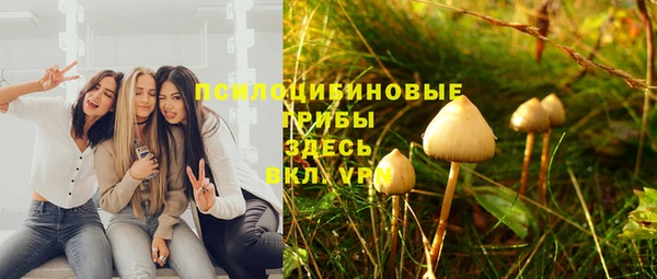 первитин Абинск