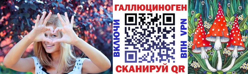 наркота  Избербаш  Псилоцибиновые грибы прущие грибы 