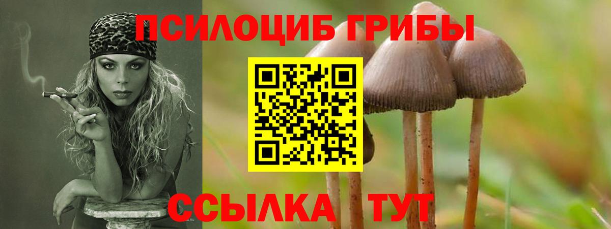 Галлюциногенные грибы прущие грибы  Вход с VPN  цена   Избербаш 